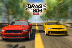 Drag Sim 2020