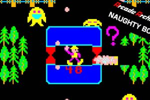 顽皮小子 Arcade Archives NAUGHTY BOY