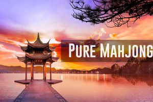 纯净麻将 Pure Mahjong