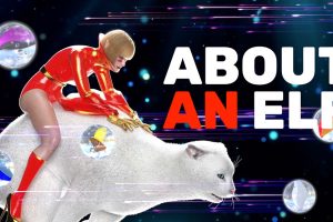 关于一只精灵 About an Elf