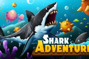 鲨鱼冒险 Shark Adventure