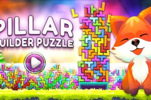 Pillar Builder Puzzle