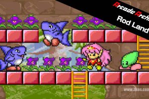 街机档案 罗德大陆 Arcade Archives Rod Land（1.0.1）金手指